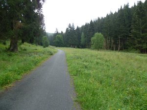 RTF Goslar Mirco 50